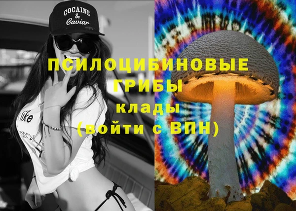 молекула духа Аркадак